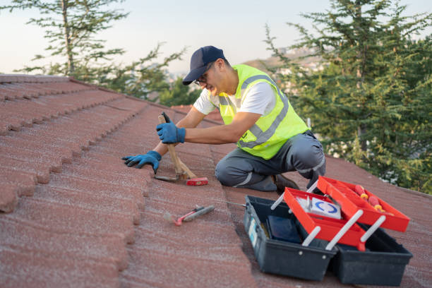 Best Roof Repair Services  in Toledo, IL